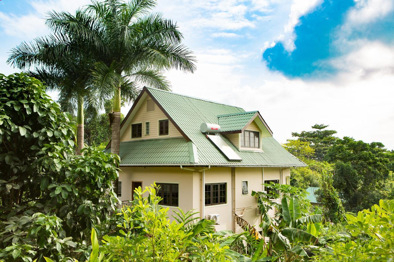 Belle Montagne Holiday Apartments Grand Anse  Exteriér fotografie